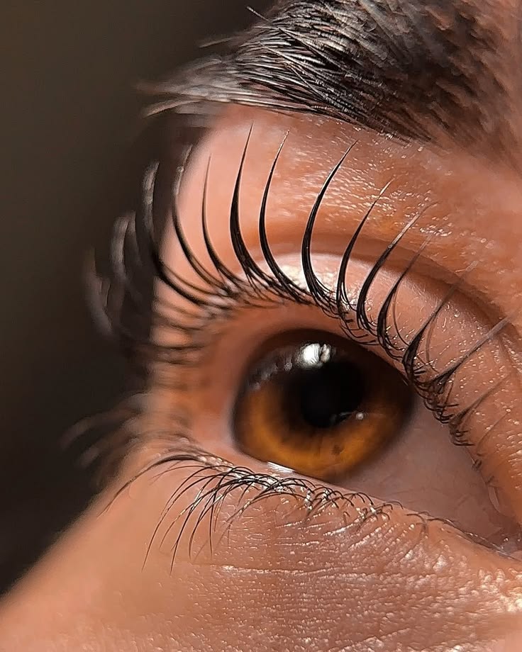 Lash Lift Coréen: le rehaussement de cils qui révolutionne 2026