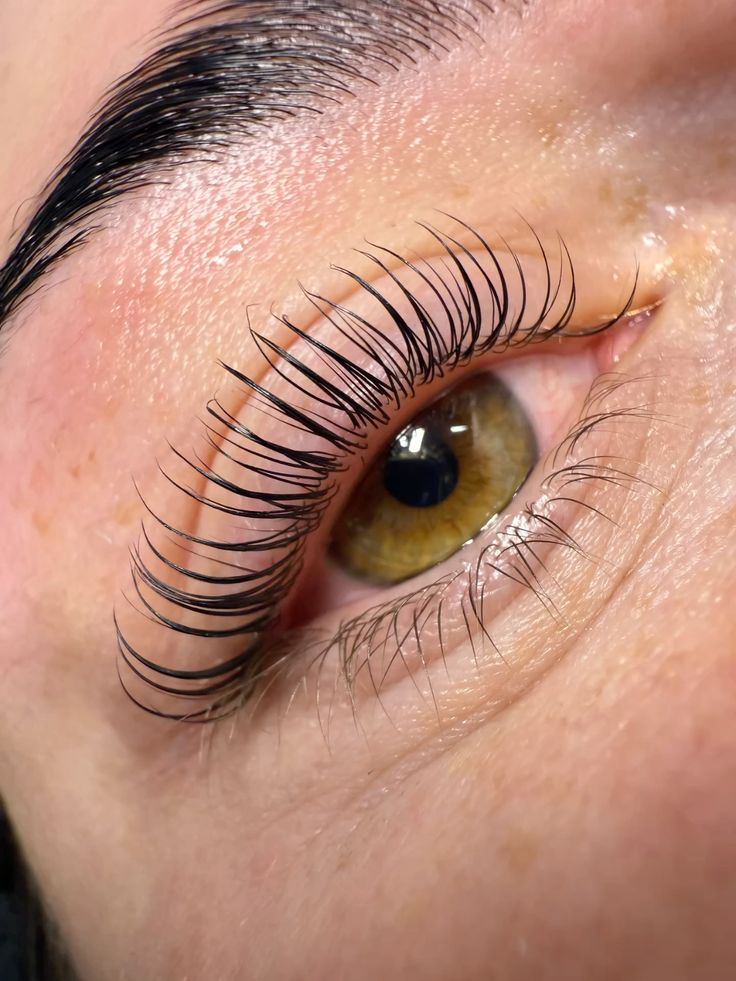 Korean Lash Lift La Technique Tendance Pour Un Rehaussement De Cils Korean Lash Lift La Technique Tendance Pour Un Rehaussement De Cils
