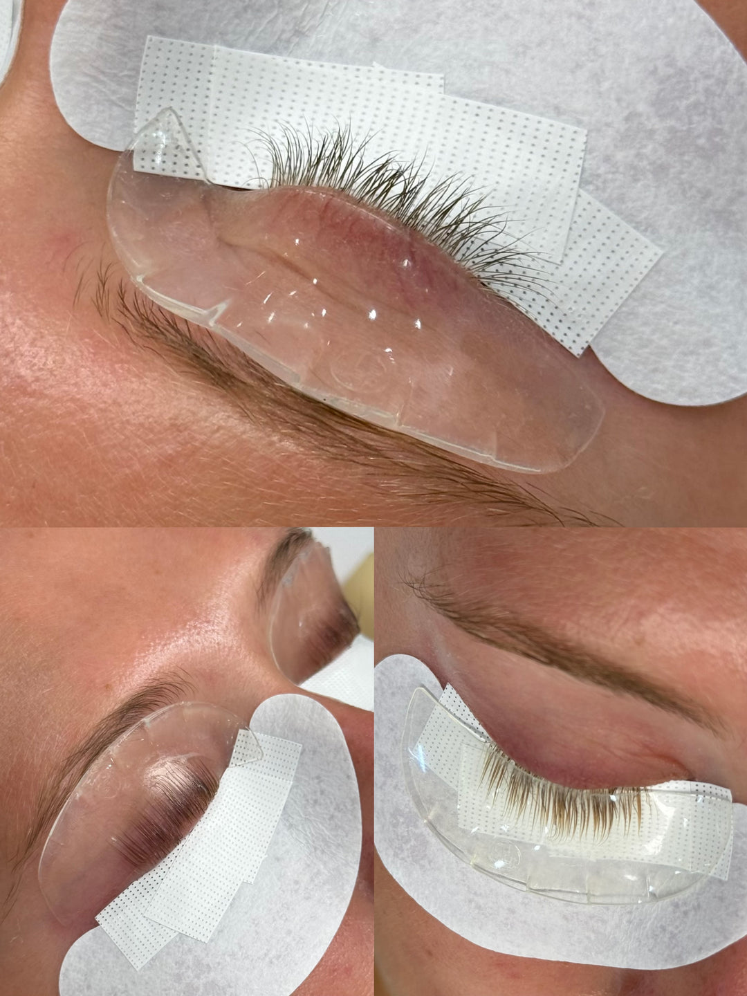 Early - Dumpling Softening Rods (1 pairs) - Brow.X Professionnel