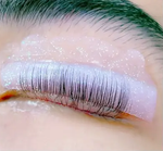 Brow.X Pro - Pads Lash Lift et Extensions de Cils (12 Pieces) - Brow.X Professionnel